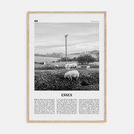 Essex Travel B&W Poster