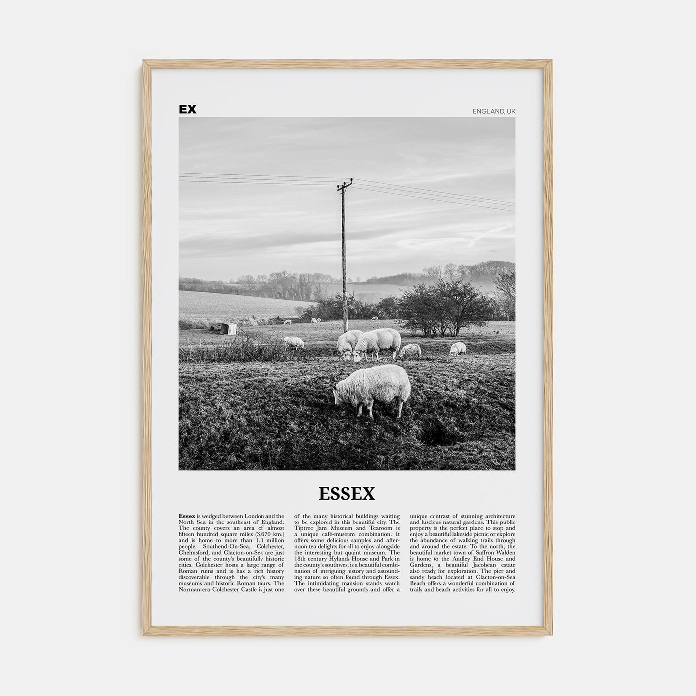 Essex Travel B&W Poster