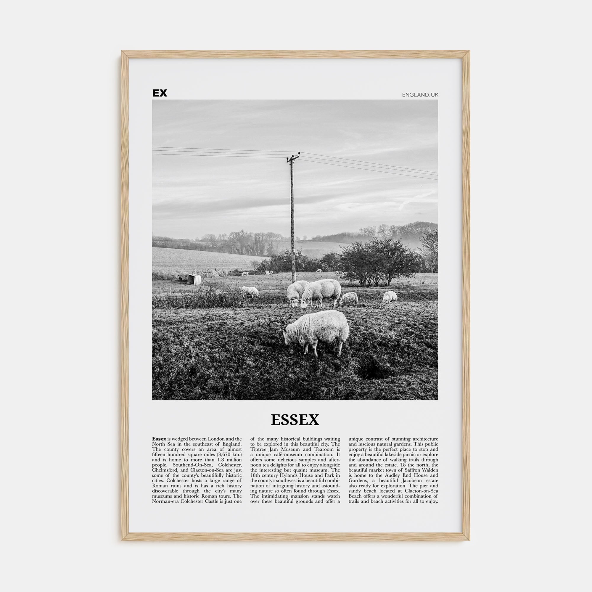 Essex Travel B&W Poster