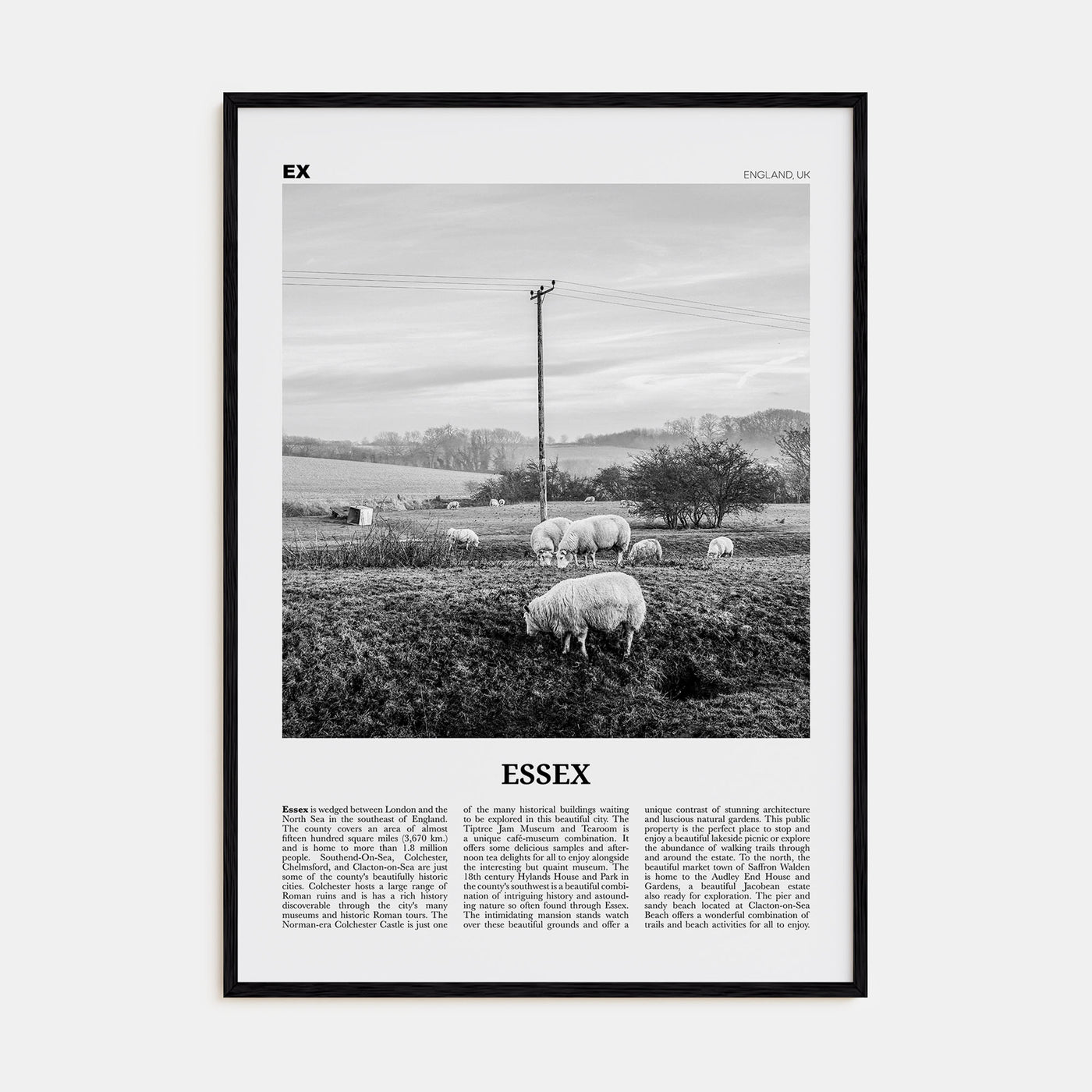 Essex Travel B&W Poster