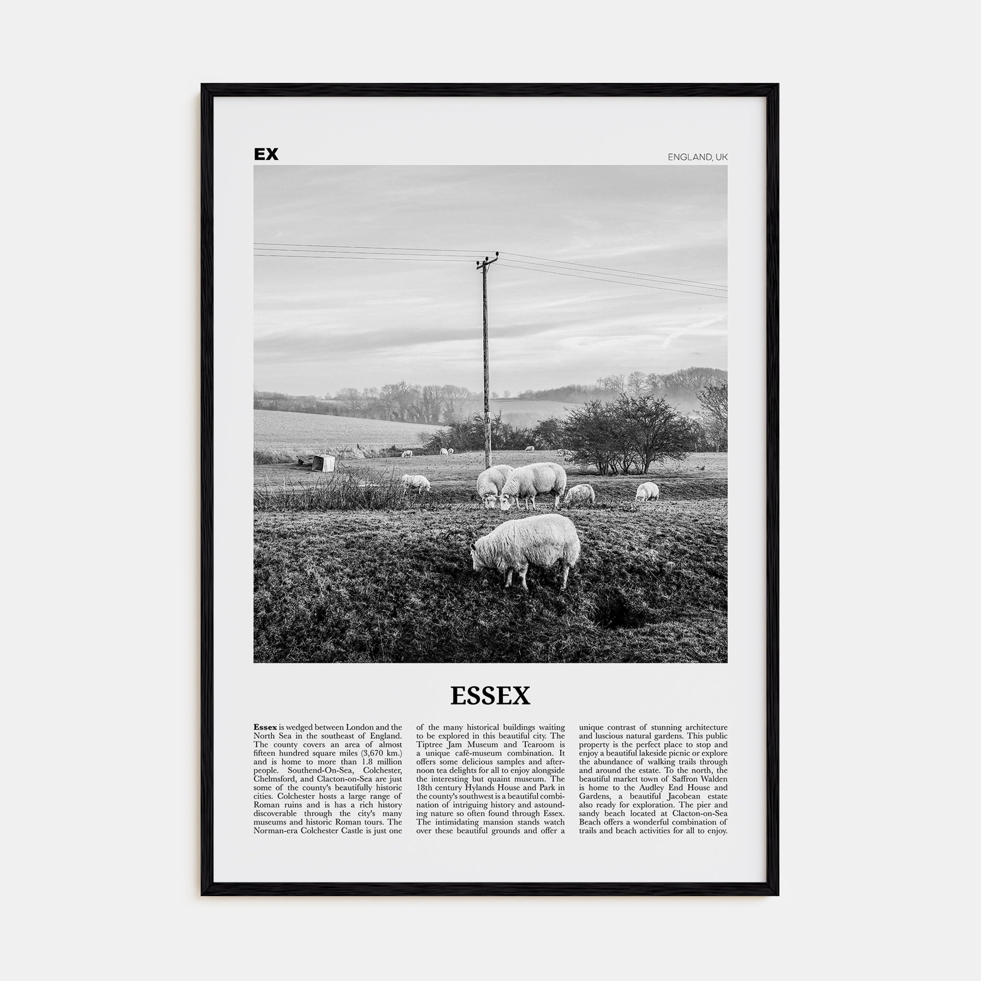 Essex Travel B&W Poster