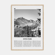 Estes Park Travel B&W Poster