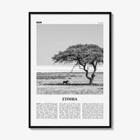 Etosha National Park Print Black and White, Etosha Wall Art, Etosha Poster, Etosha Photo, Etosha Wall Décor, Etosha Map, Africa, Namibia