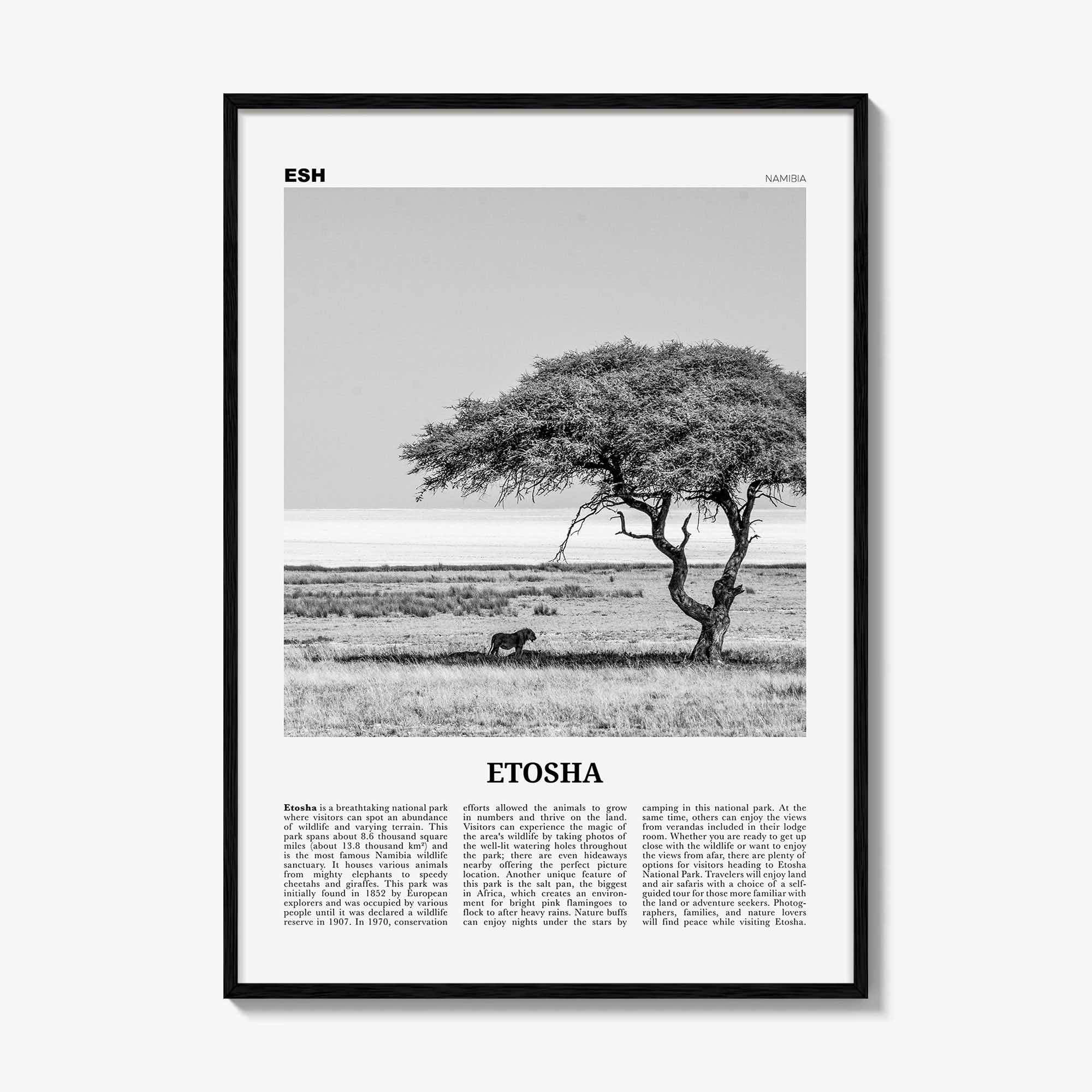 Etosha National Park Print Black and White, Etosha Wall Art, Etosha Poster, Etosha Photo, Etosha Wall Décor, Etosha Map, Africa, Namibia