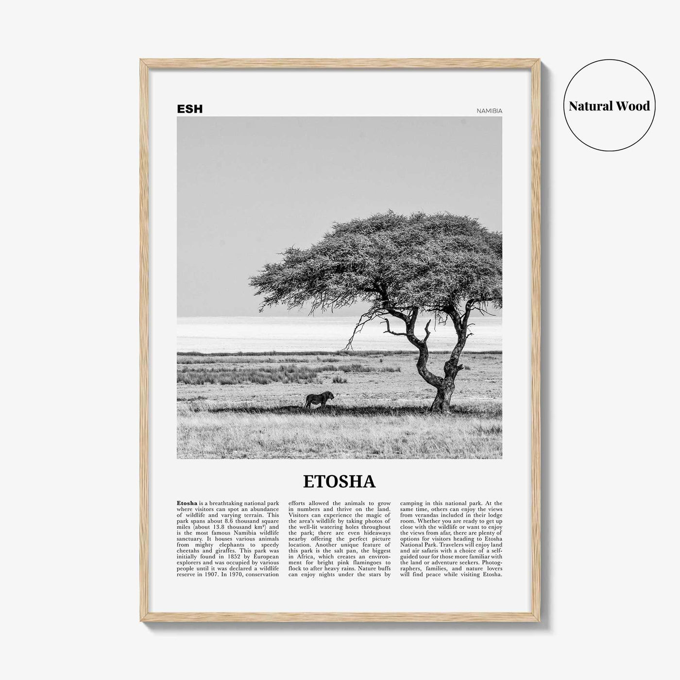 Etosha National Park Print Black and White, Etosha Wall Art, Etosha Poster, Etosha Photo, Etosha Wall Décor, Etosha Map, Africa, Namibia