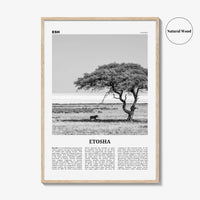 Etosha National Park Print Black and White, Etosha Wall Art, Etosha Poster, Etosha Photo, Etosha Wall Décor, Etosha Map, Africa, Namibia