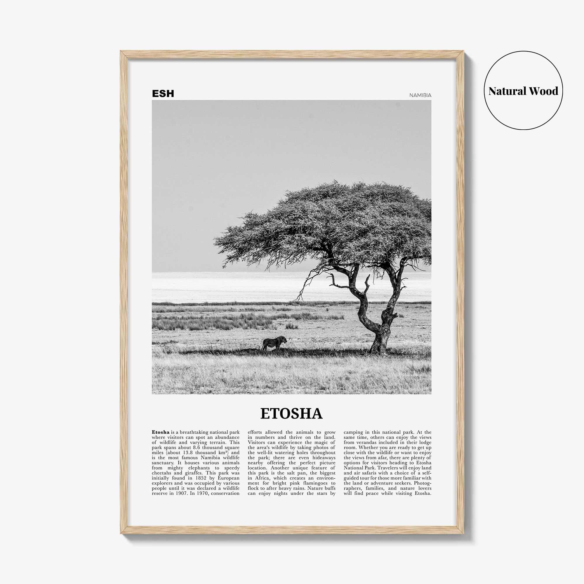 Etosha National Park Print Black and White, Etosha Wall Art, Etosha Poster, Etosha Photo, Etosha Wall Décor, Etosha Map, Africa, Namibia