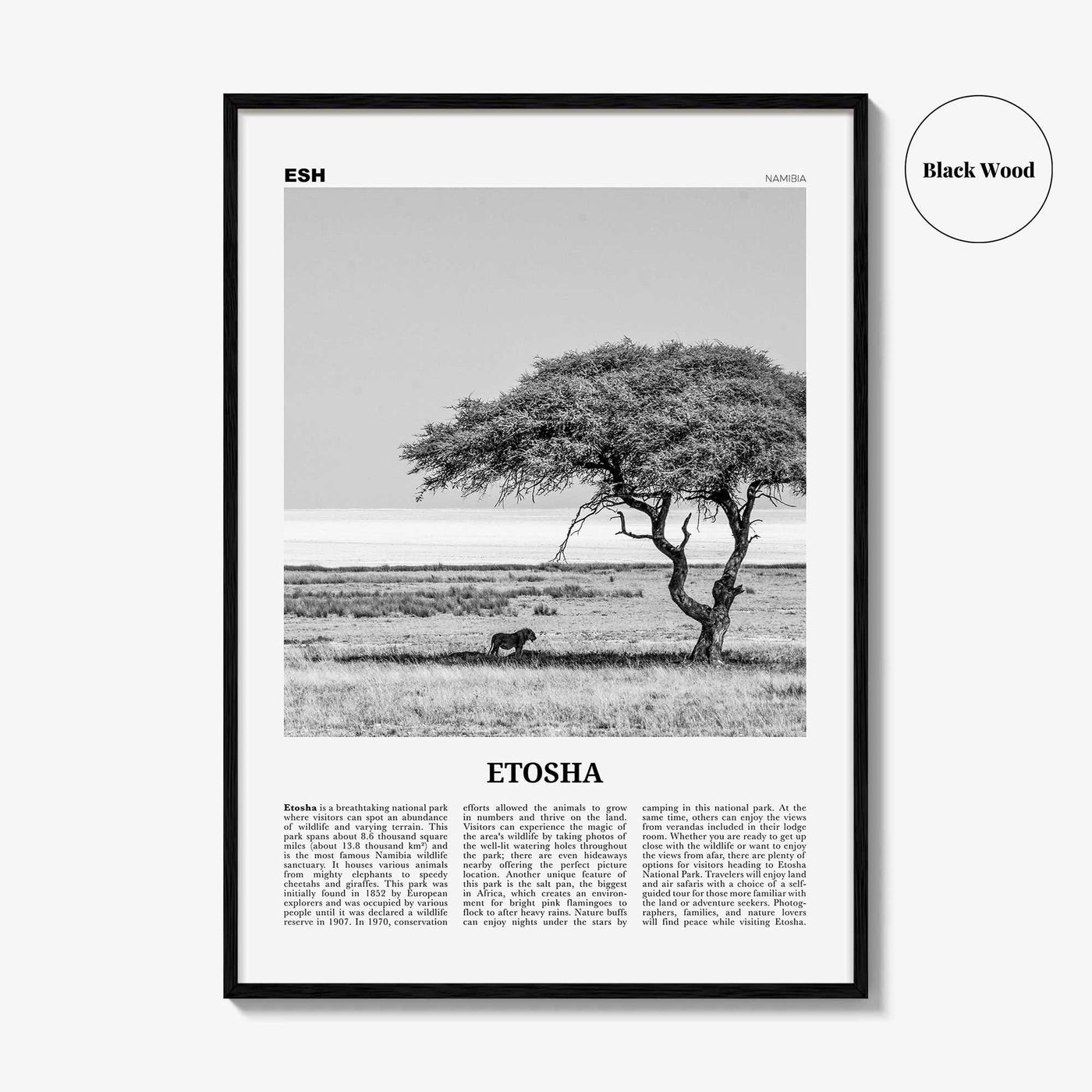 Etosha National Park Print Black and White, Etosha Wall Art, Etosha Poster, Etosha Photo, Etosha Wall Décor, Etosha Map, Africa, Namibia