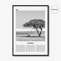 Etosha National Park Print Black and White, Etosha Wall Art, Etosha Poster, Etosha Photo, Etosha Wall Décor, Etosha Map, Africa, Namibia