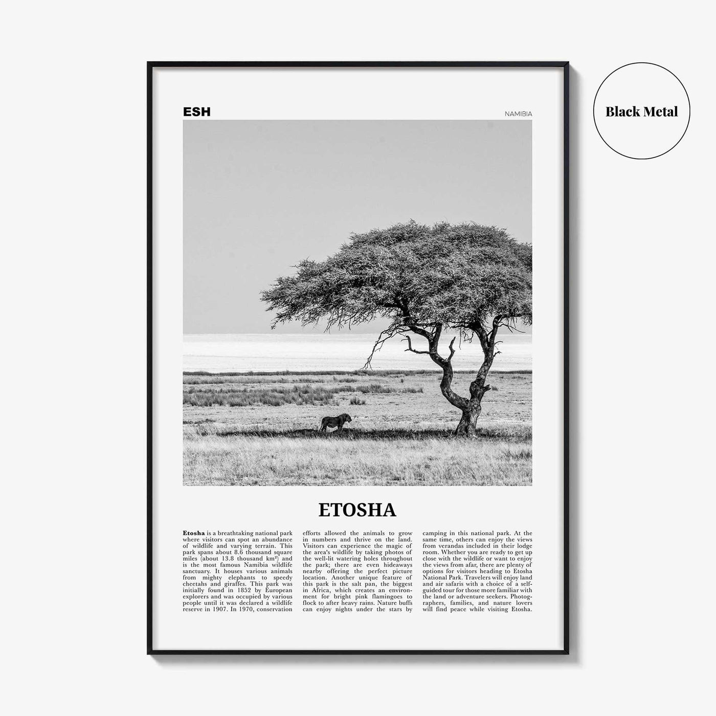 Etosha National Park Print Black and White, Etosha Wall Art, Etosha Poster, Etosha Photo, Etosha Wall Décor, Etosha Map, Africa, Namibia