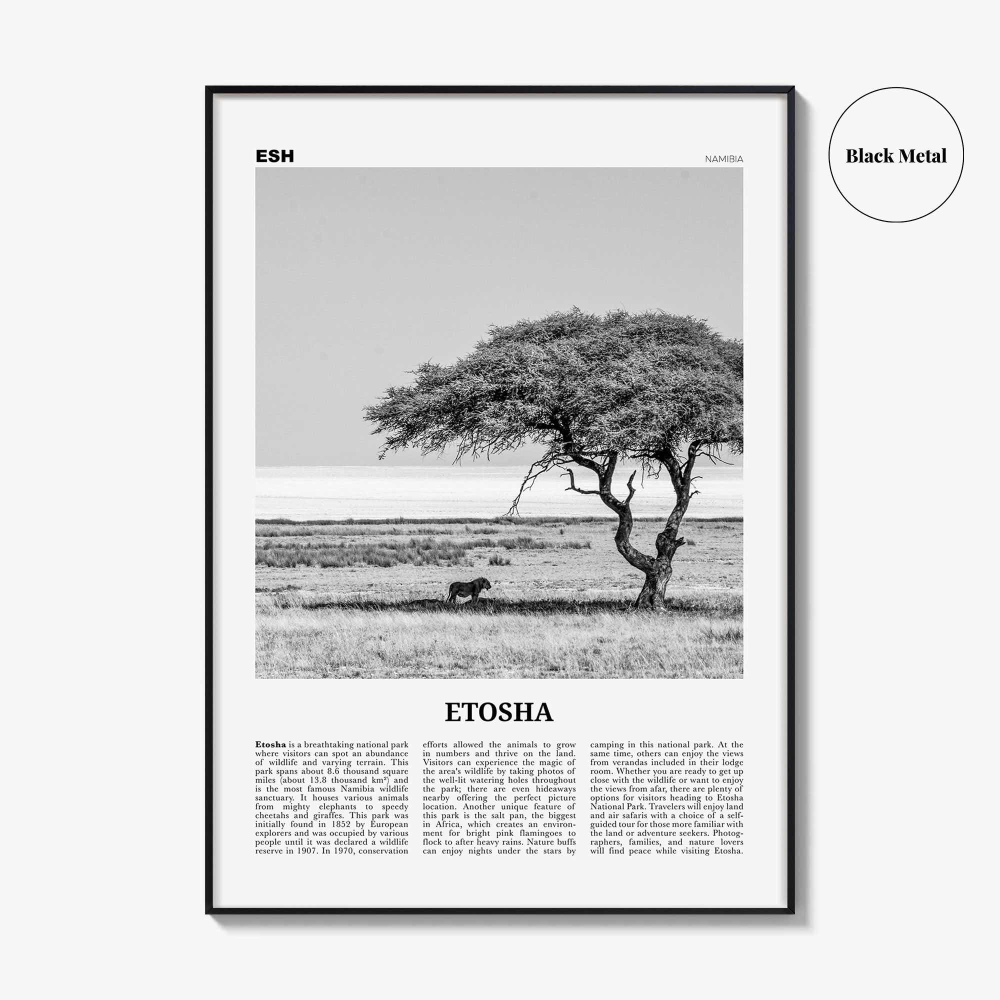 Etosha National Park Print Black and White, Etosha Wall Art, Etosha Poster, Etosha Photo, Etosha Wall Décor, Etosha Map, Africa, Namibia