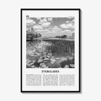 Everglades National Park Print Black and White, Everglades Wall Art, Everglades Poster, Everglades Photo, Everglades Wall Décor, Florida