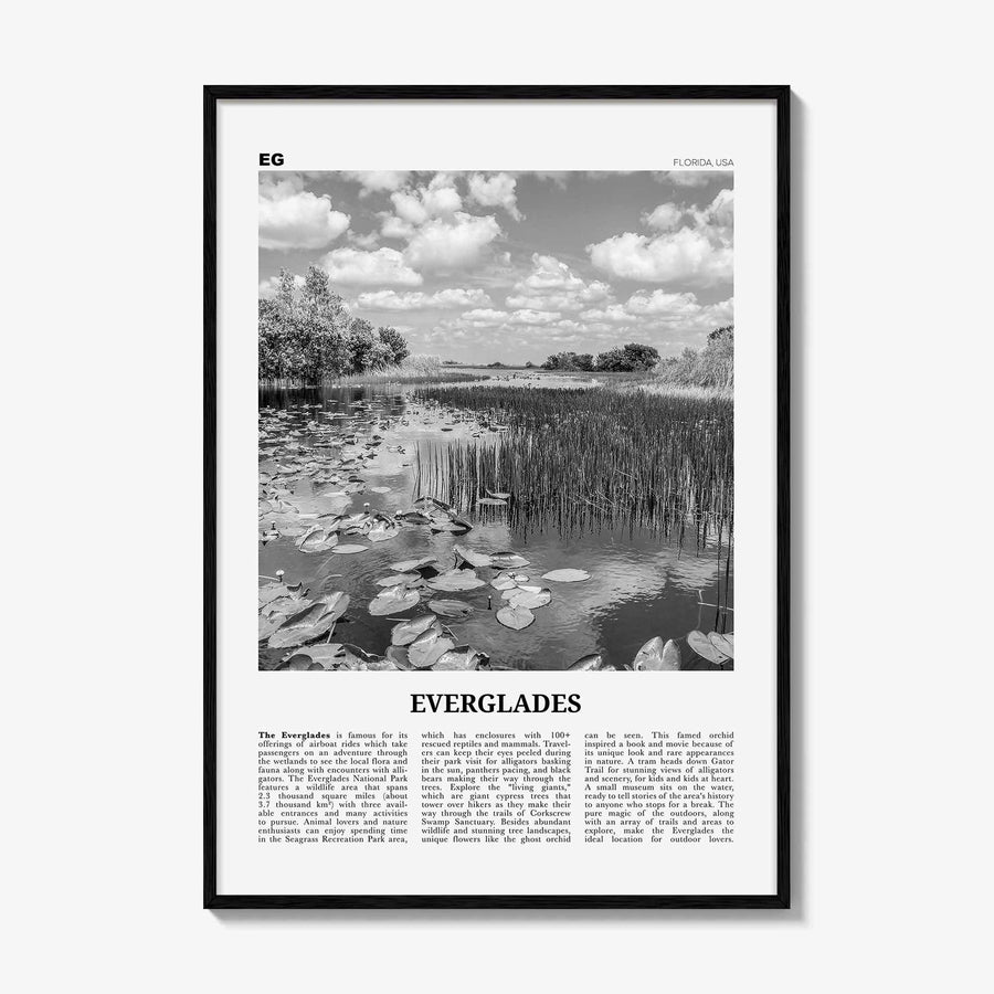 Everglades National Park Print Black and White, Everglades Wall Art, Everglades Poster, Everglades Photo, Everglades Wall Décor, Florida