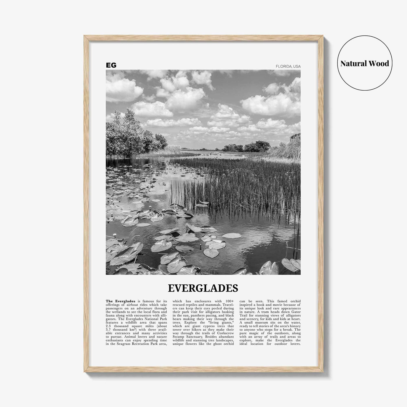 Everglades National Park Print Black and White, Everglades Wall Art, Everglades Poster, Everglades Photo, Everglades Wall Décor, Florida