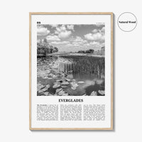Everglades National Park Print Black and White, Everglades Wall Art, Everglades Poster, Everglades Photo, Everglades Wall Décor, Florida