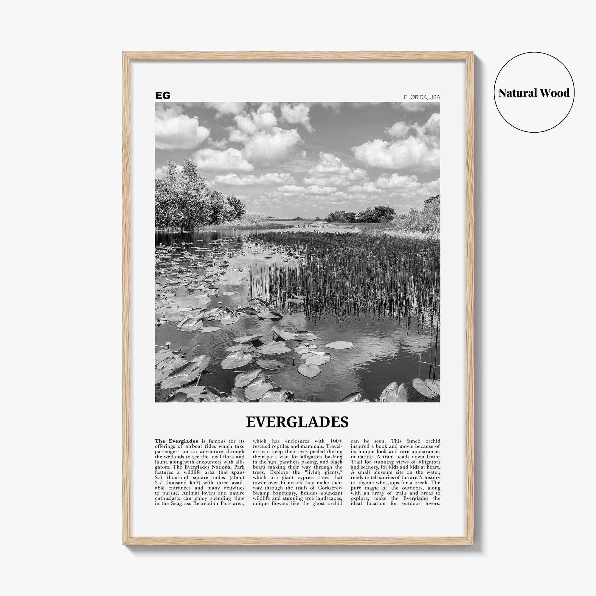 Everglades National Park Print Black and White, Everglades Wall Art, Everglades Poster, Everglades Photo, Everglades Wall Décor, Florida