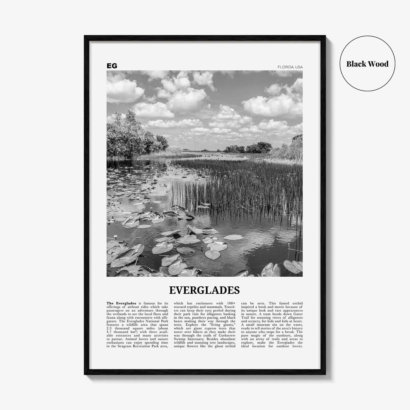 Everglades National Park Print Black and White, Everglades Wall Art, Everglades Poster, Everglades Photo, Everglades Wall Décor, Florida