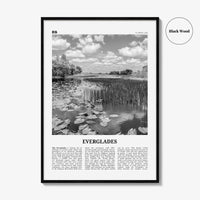 Everglades National Park Print Black and White, Everglades Wall Art, Everglades Poster, Everglades Photo, Everglades Wall Décor, Florida