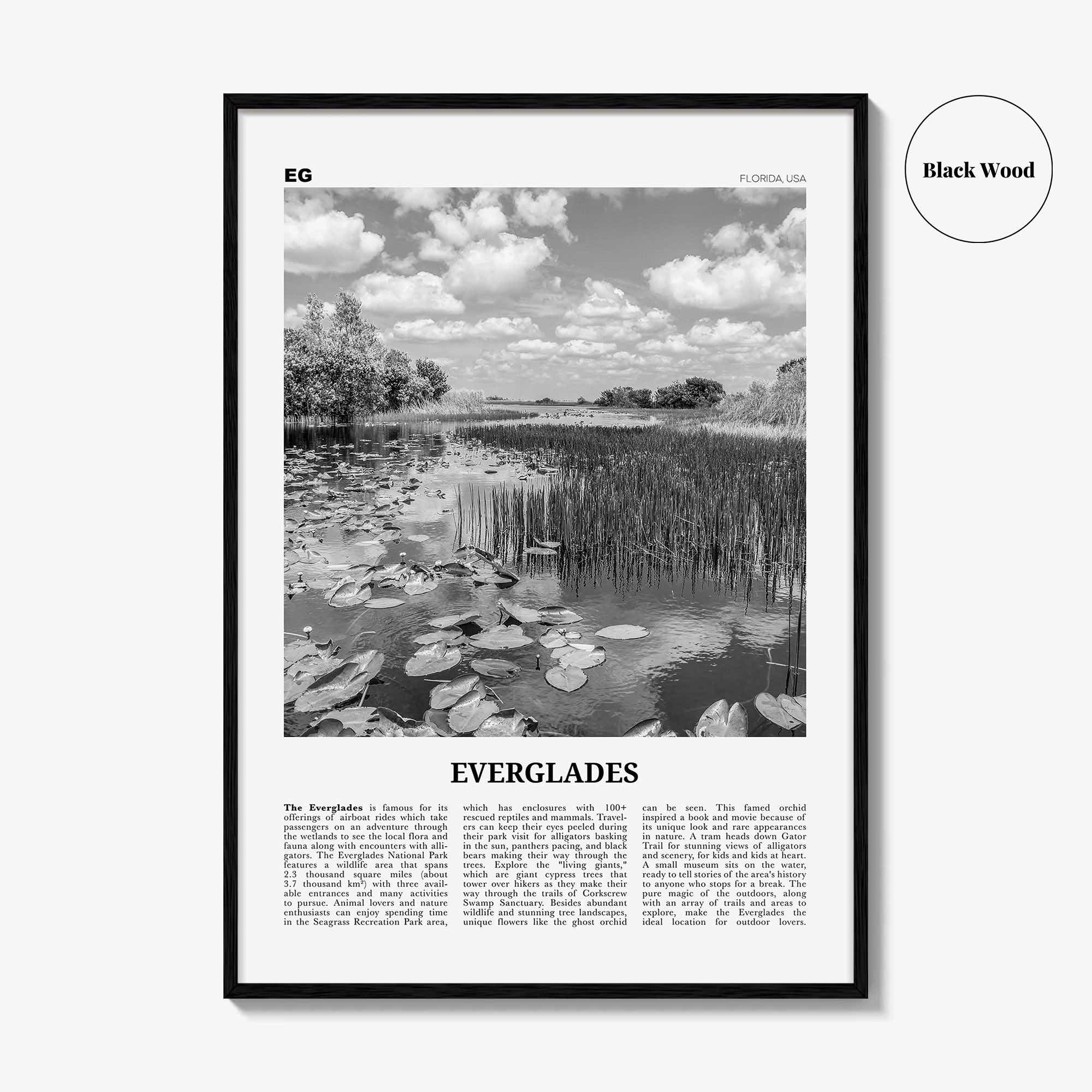 Everglades National Park Print Black and White, Everglades Wall Art, Everglades Poster, Everglades Photo, Everglades Wall Décor, Florida