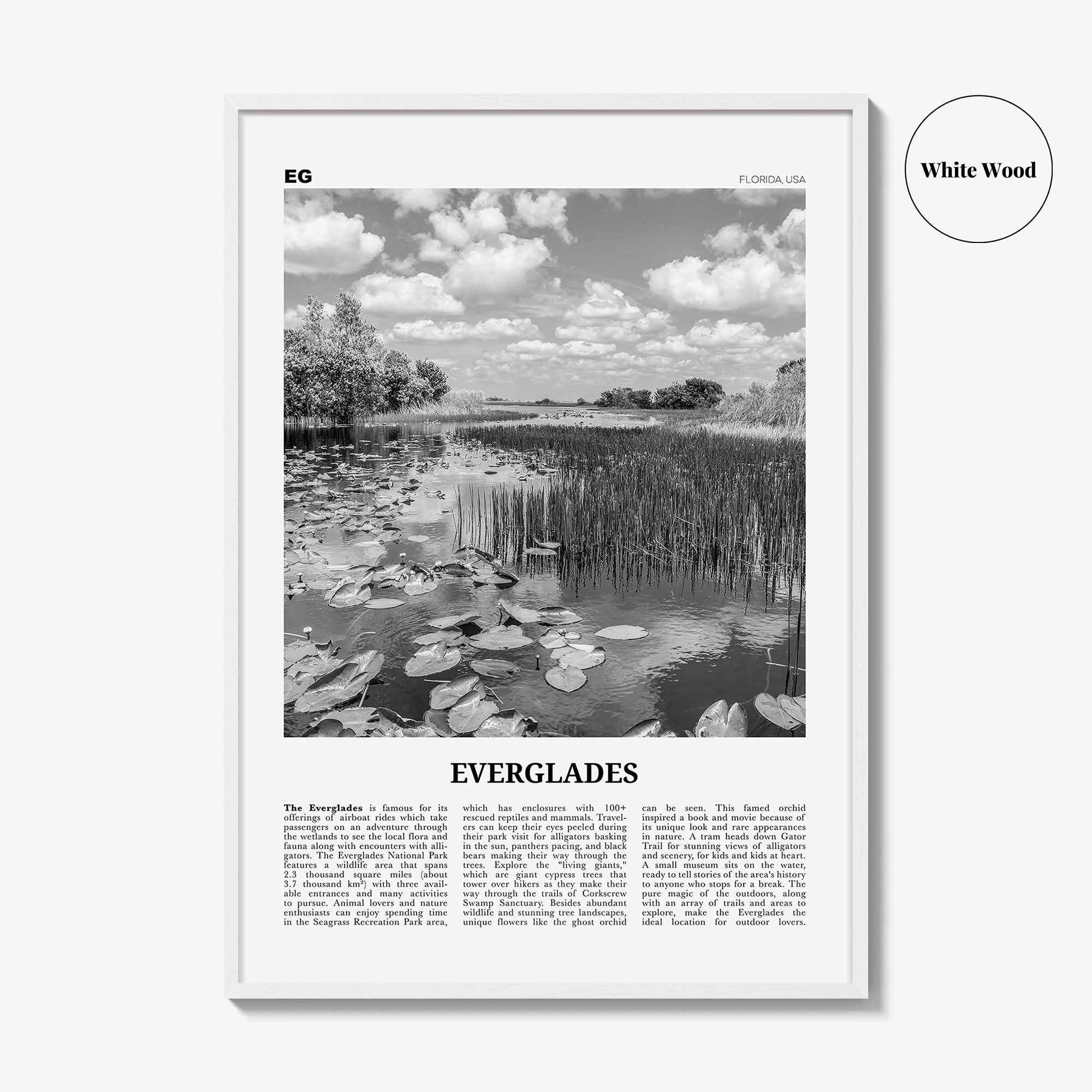 Everglades National Park Print Black and White, Everglades Wall Art, Everglades Poster, Everglades Photo, Everglades Wall Décor, Florida