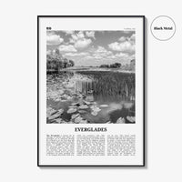 Everglades National Park Print Black and White, Everglades Wall Art, Everglades Poster, Everglades Photo, Everglades Wall Décor, Florida