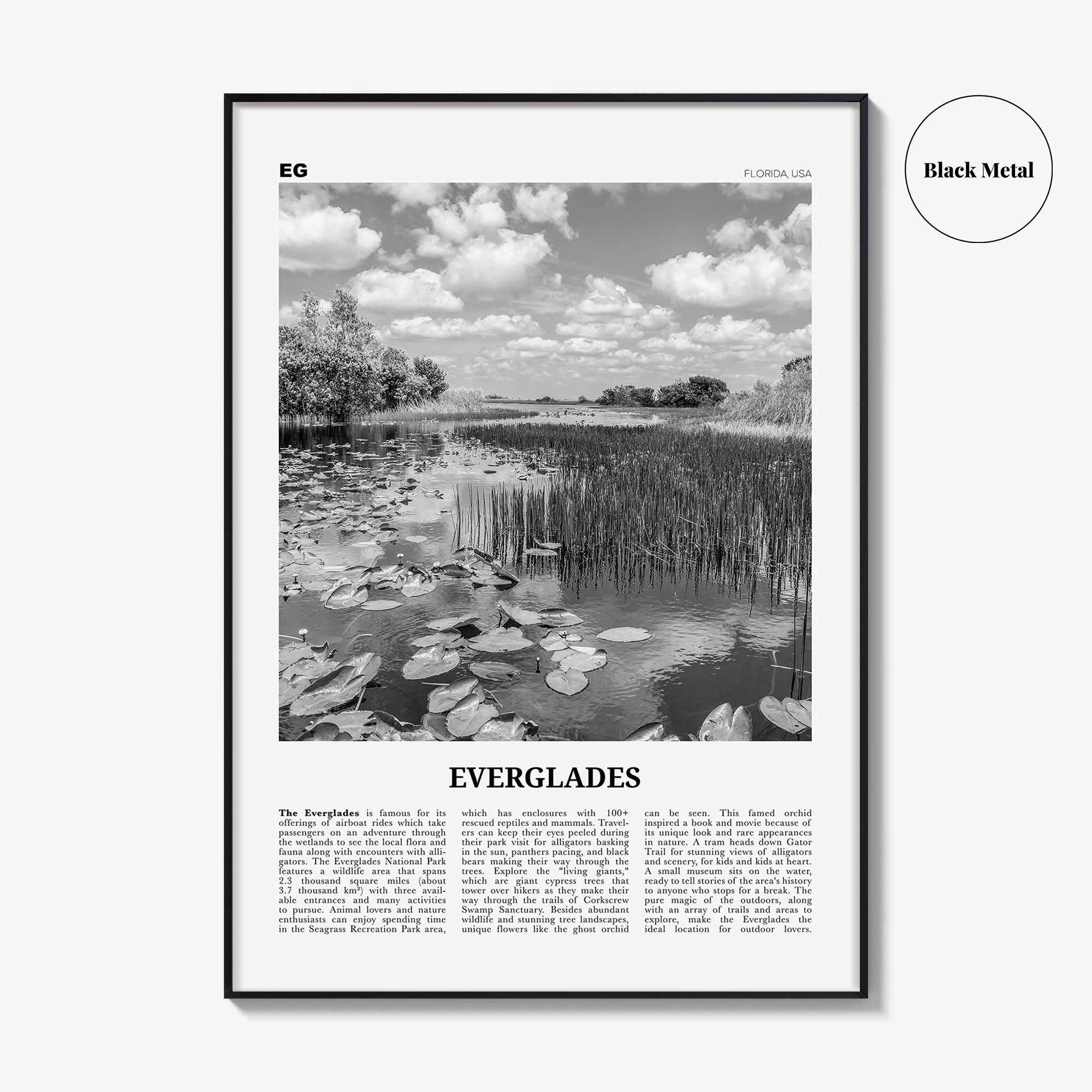 Everglades National Park Print Black and White, Everglades Wall Art, Everglades Poster, Everglades Photo, Everglades Wall Décor, Florida