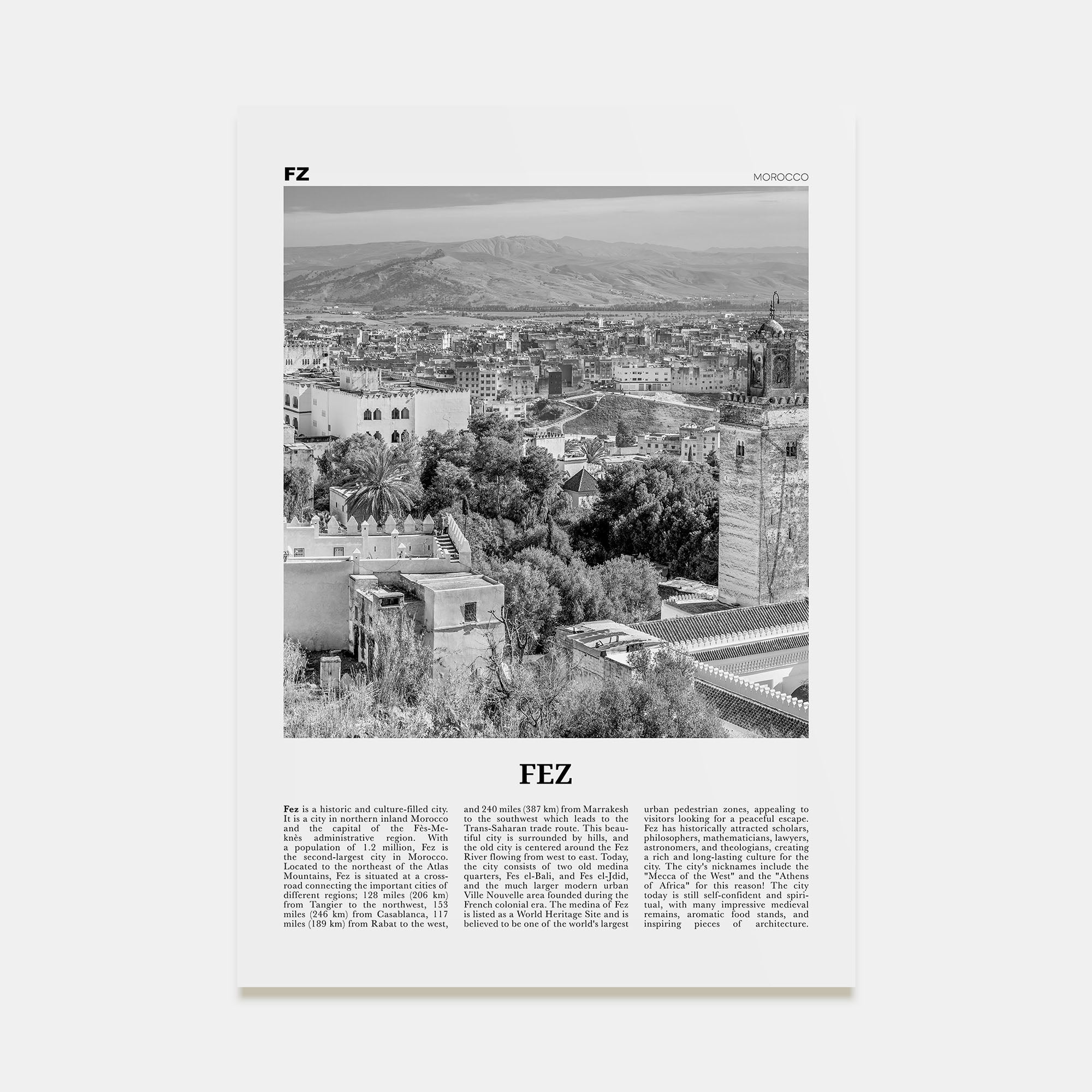 Fez Travel B&W Poster