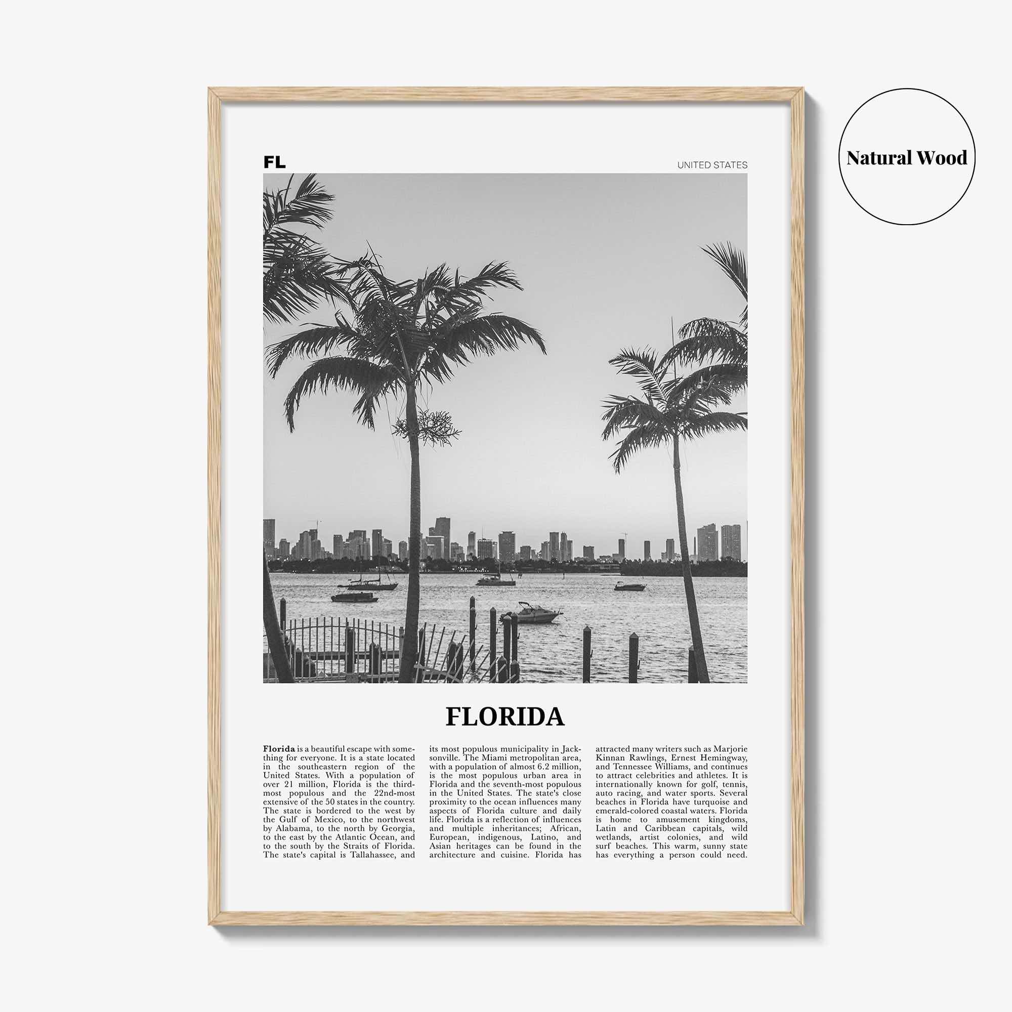 Florida Print Black and White No 3, Florida Wall Art, Florida Poster, Florida Photo, Florida Wall Decor, USA, United States