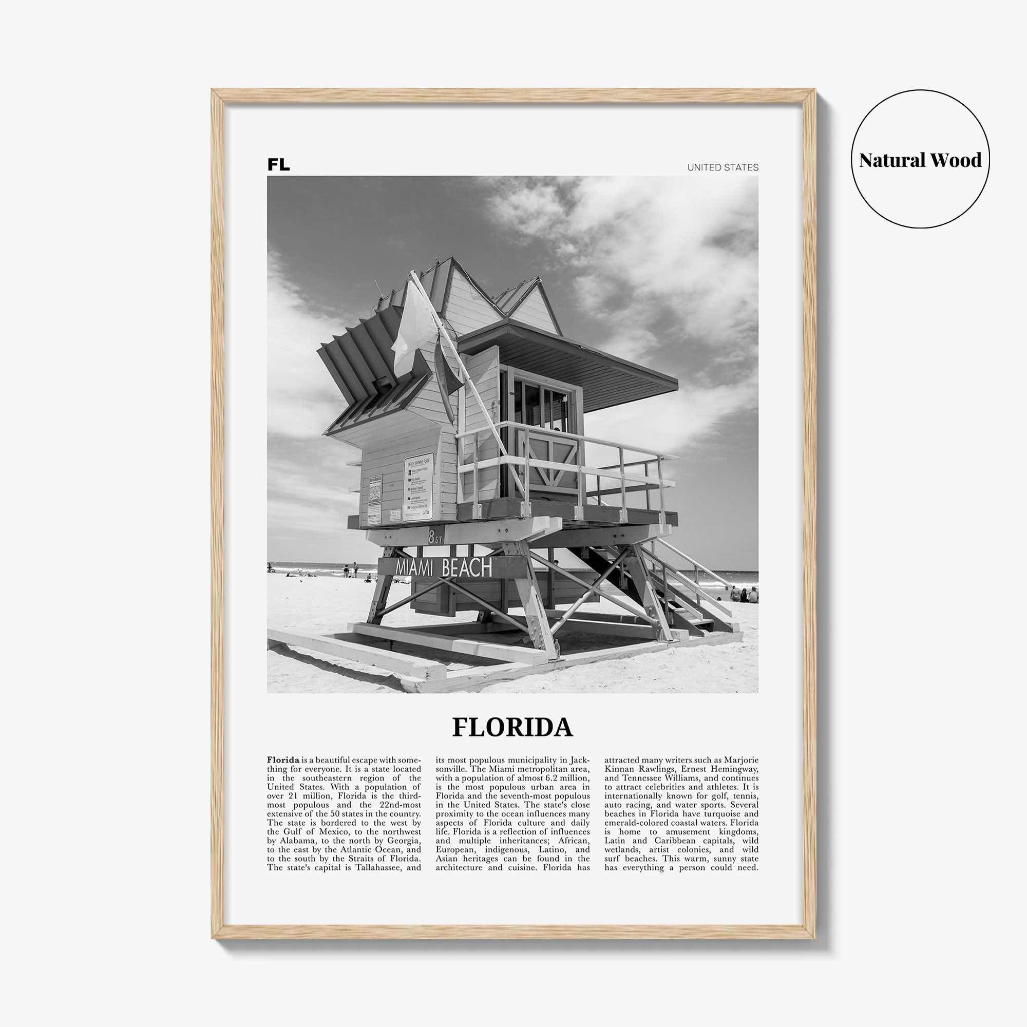 Florida Print Black and White No 5, Florida Wall Art, Florida Poster, Florida Photo, Florida Wall Decor, USA, United States