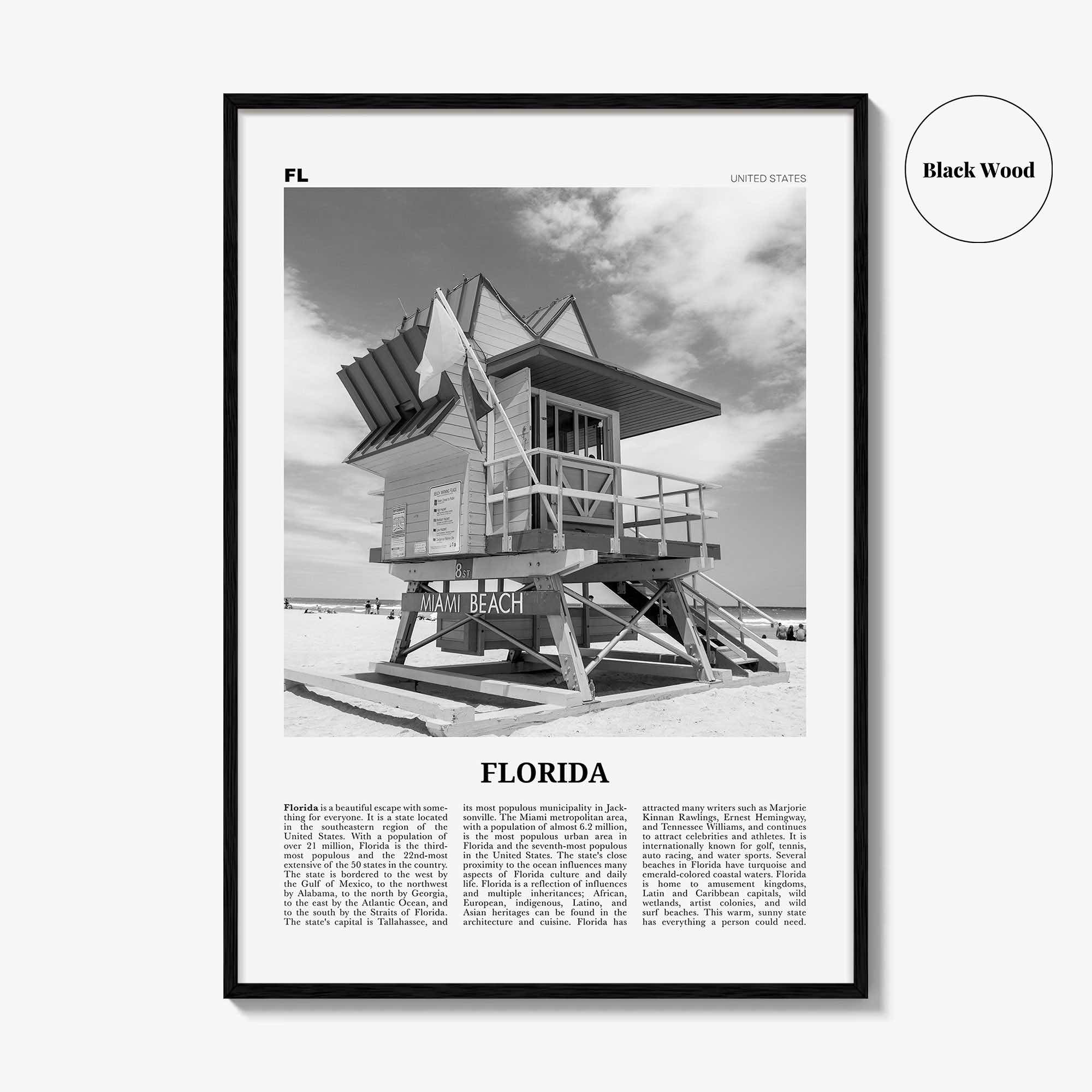 Florida Print Black and White No 5, Florida Wall Art, Florida Poster, Florida Photo, Florida Wall Decor, USA, United States