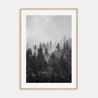 Foggy Forest Photo B&W No 1 Poster
