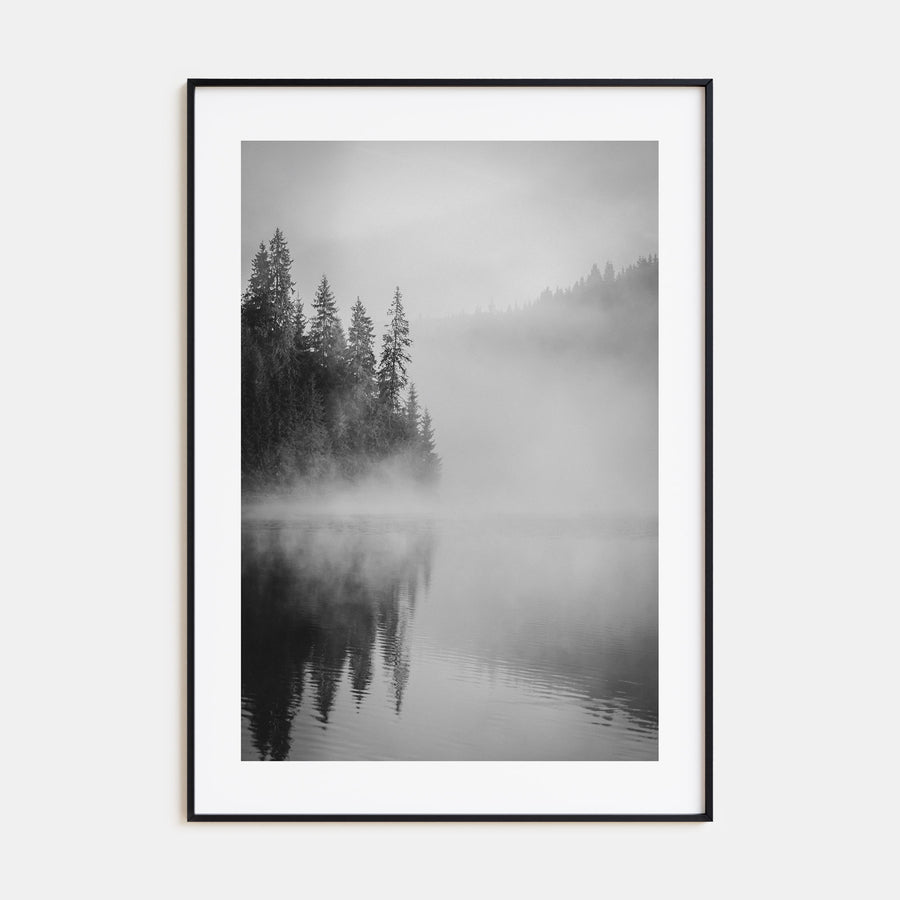 Foggy Forest Photo B&W No 2 Poster