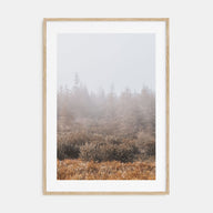 Foggy Forest Photo Color No 3 Poster