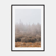 Foggy Forest Photo Color No 3 Poster