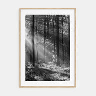 Forest Photo B&W Poster