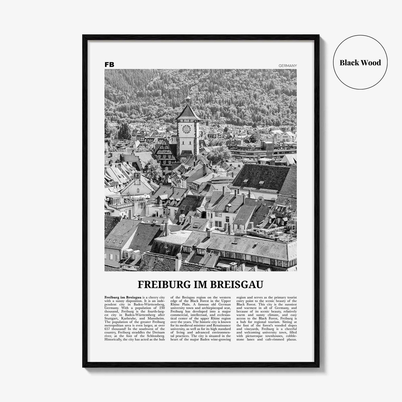 Freiburg im Breisgau Print Black and White, Freiburg Wall Art, Freiburg Poster, Freiburg Photo, Freiburg im Breisgau, Germany, Deutschland