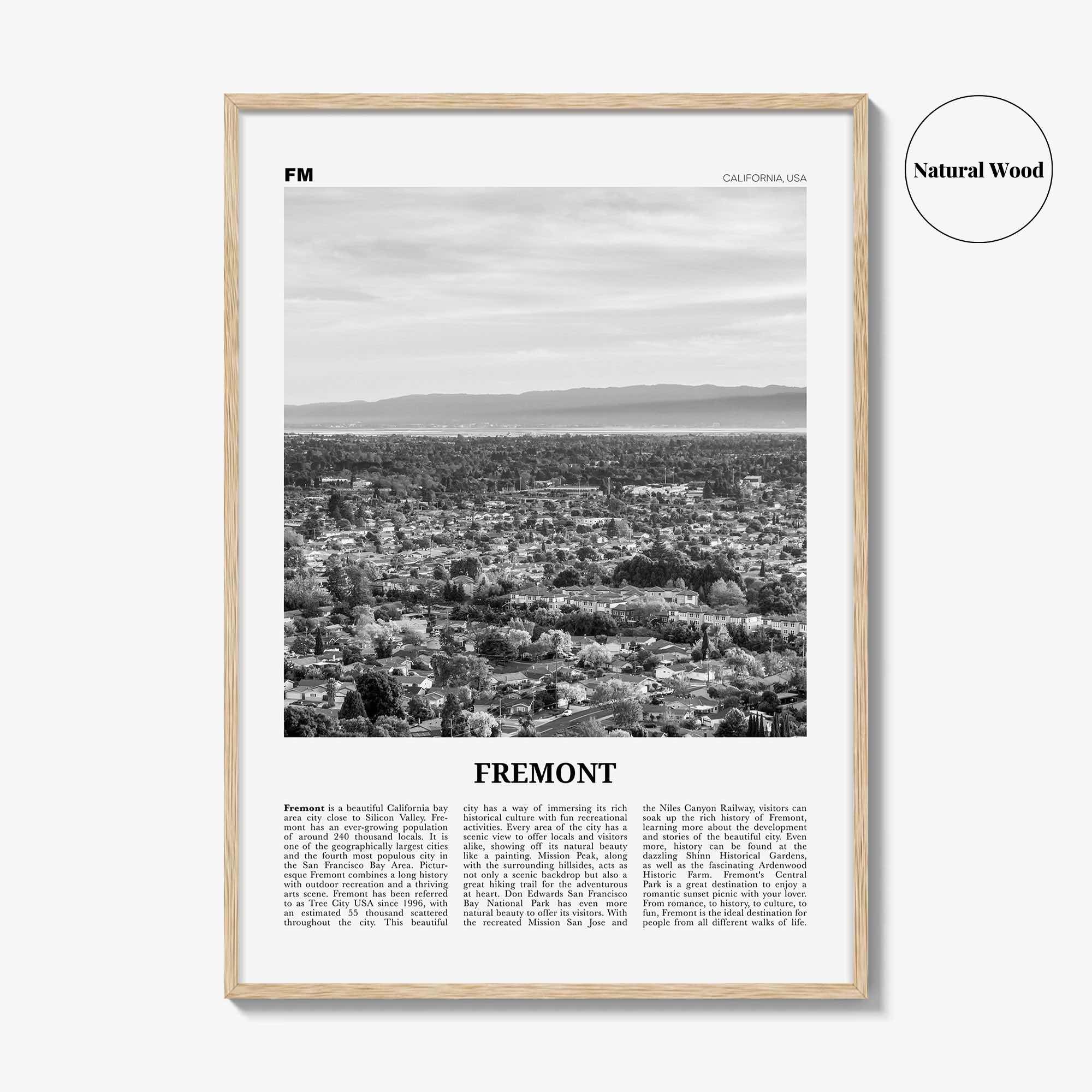 Fremont Print Black and White, Fremont Wall Art, Fremont Poster, Fremont Photo, Fremont Wall Decor, California, USA, United States