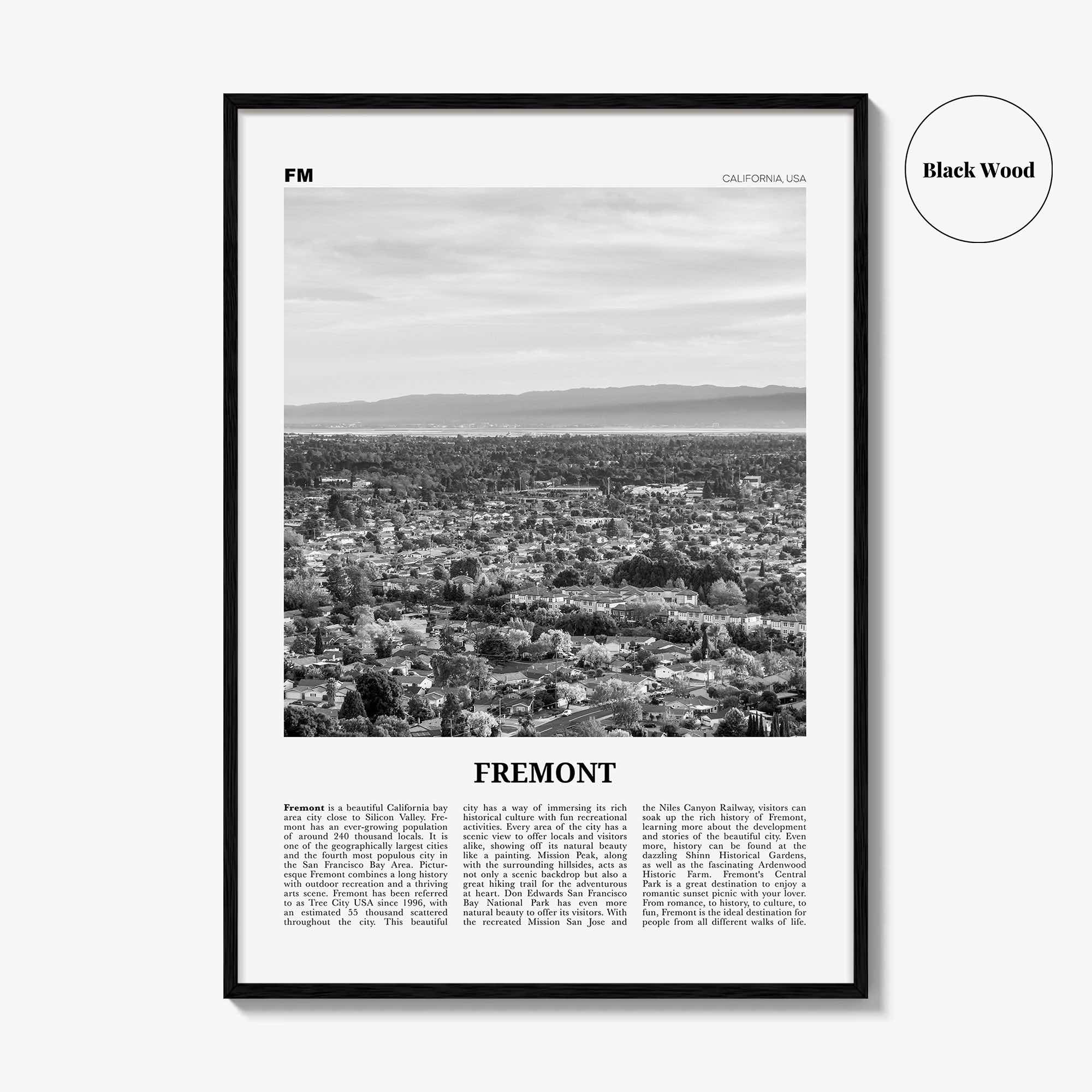 Fremont Print Black and White, Fremont Wall Art, Fremont Poster, Fremont Photo, Fremont Wall Decor, California, USA, United States