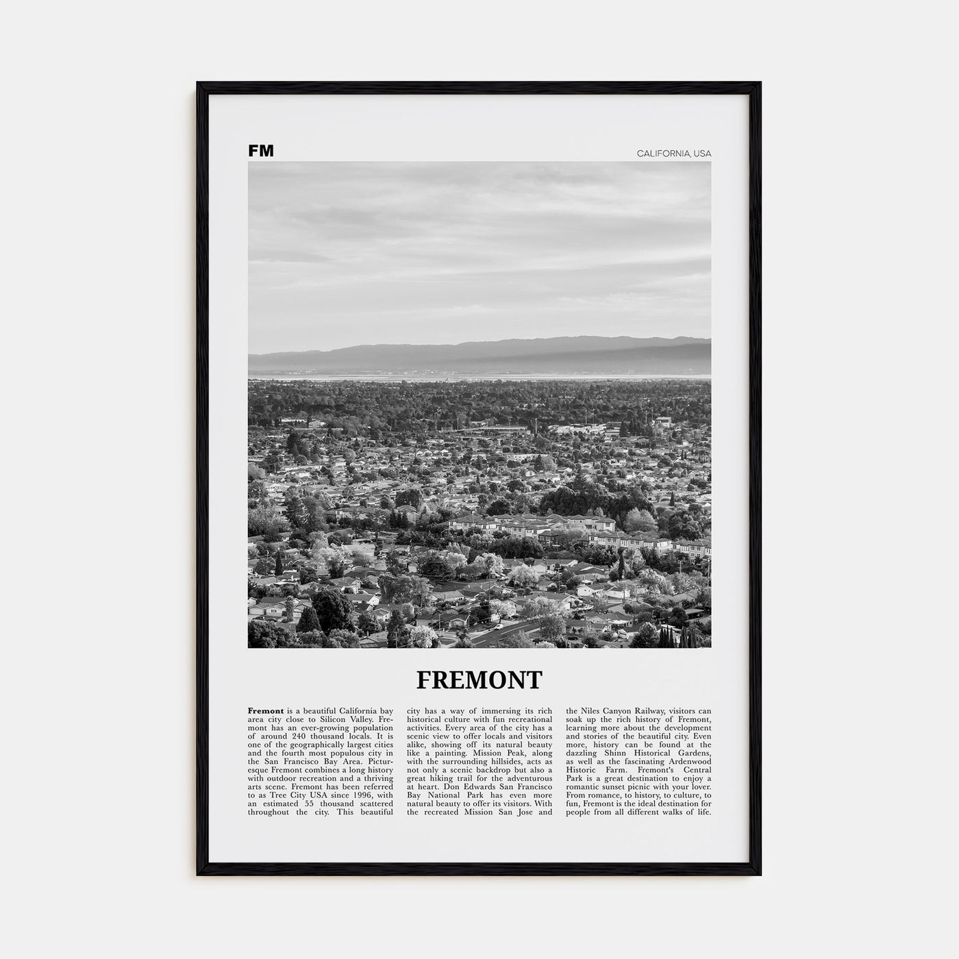 Fremont Travel B&W Poster
