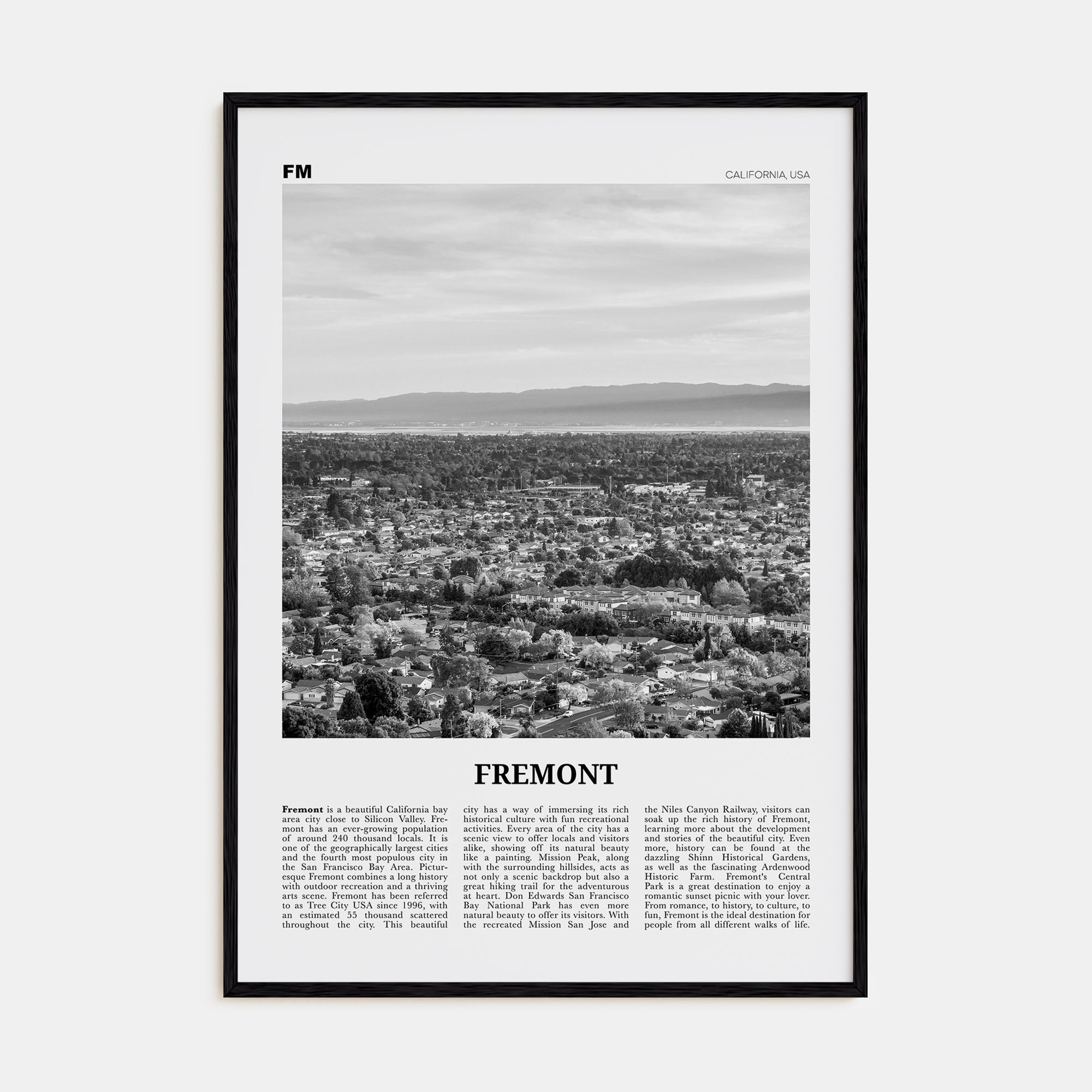 Fremont Travel B&W Poster