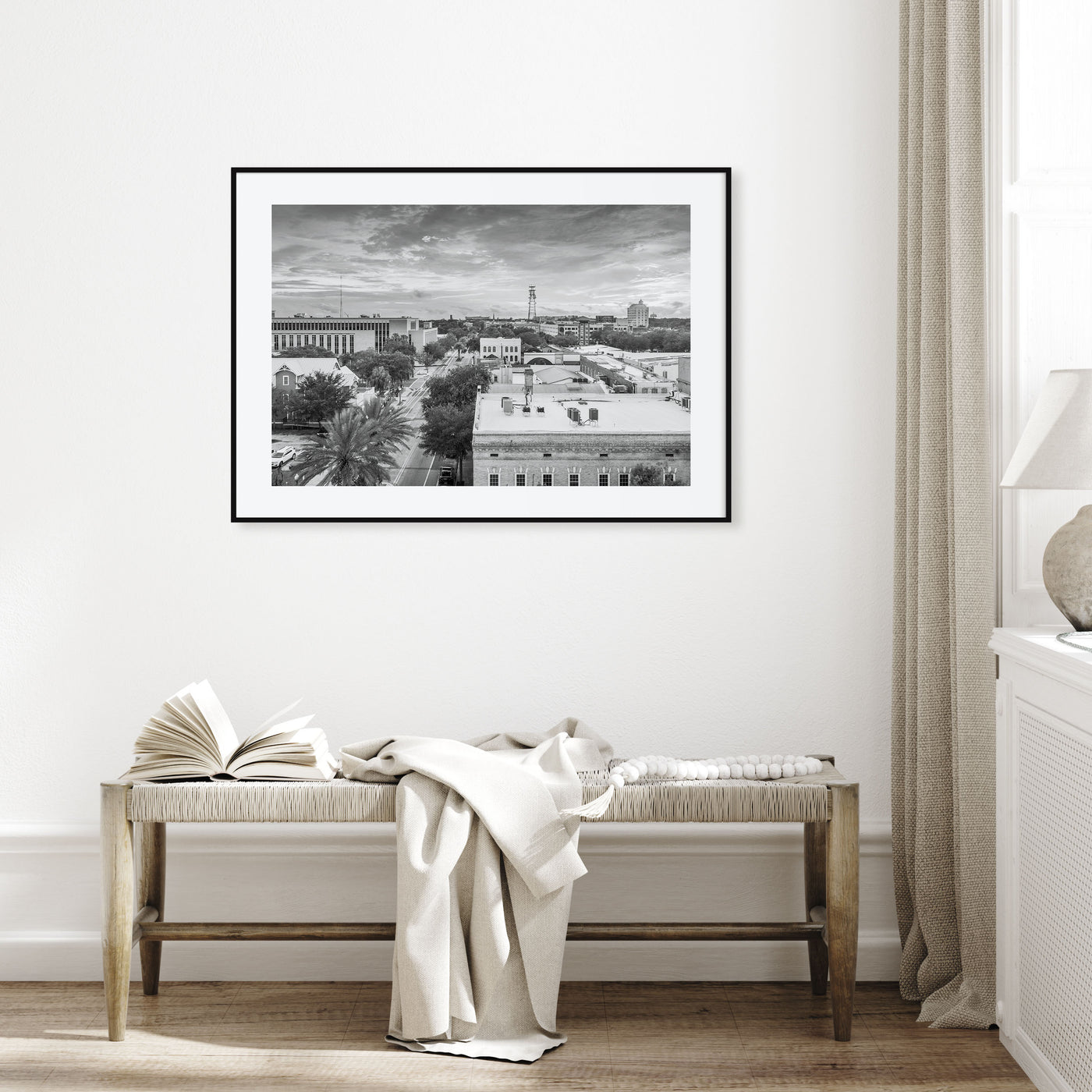 Gainesville Landscape B&W Poster