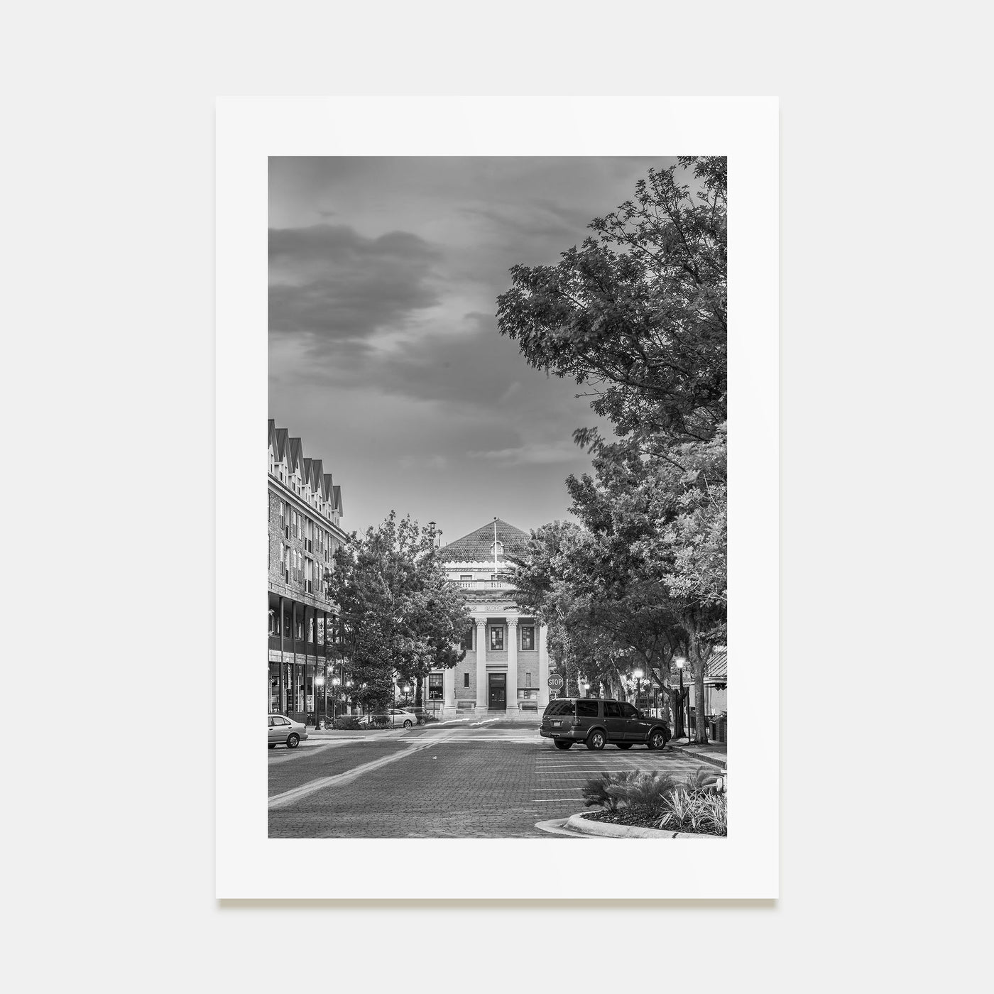 Gainesville Photo B&W Poster