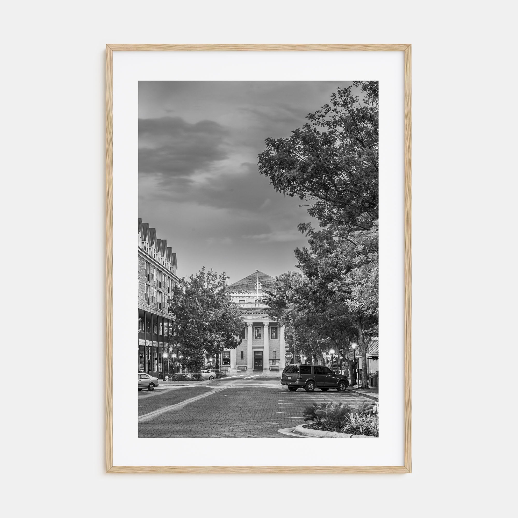 Gainesville Photo B&W Poster