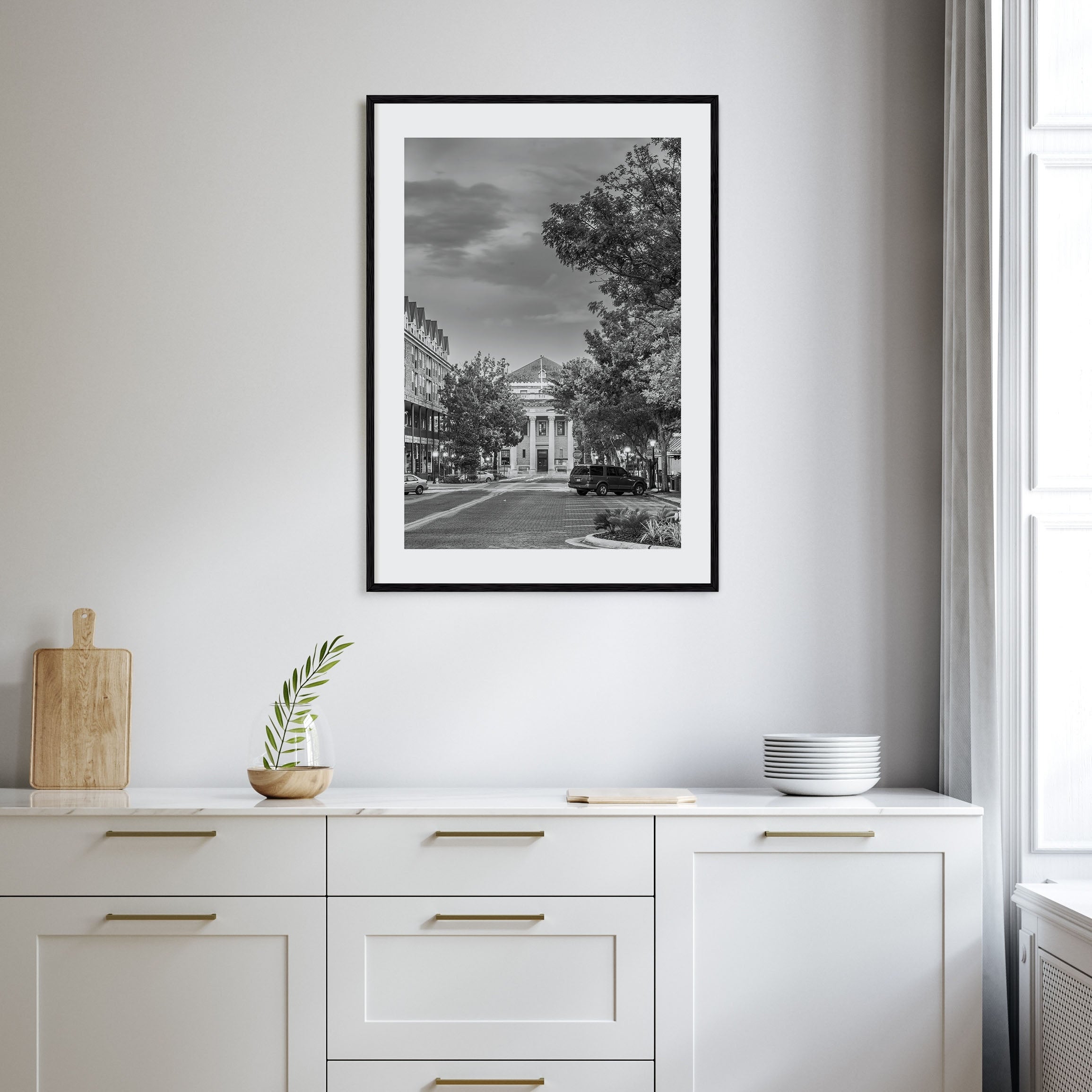 Gainesville Photo B&W Poster