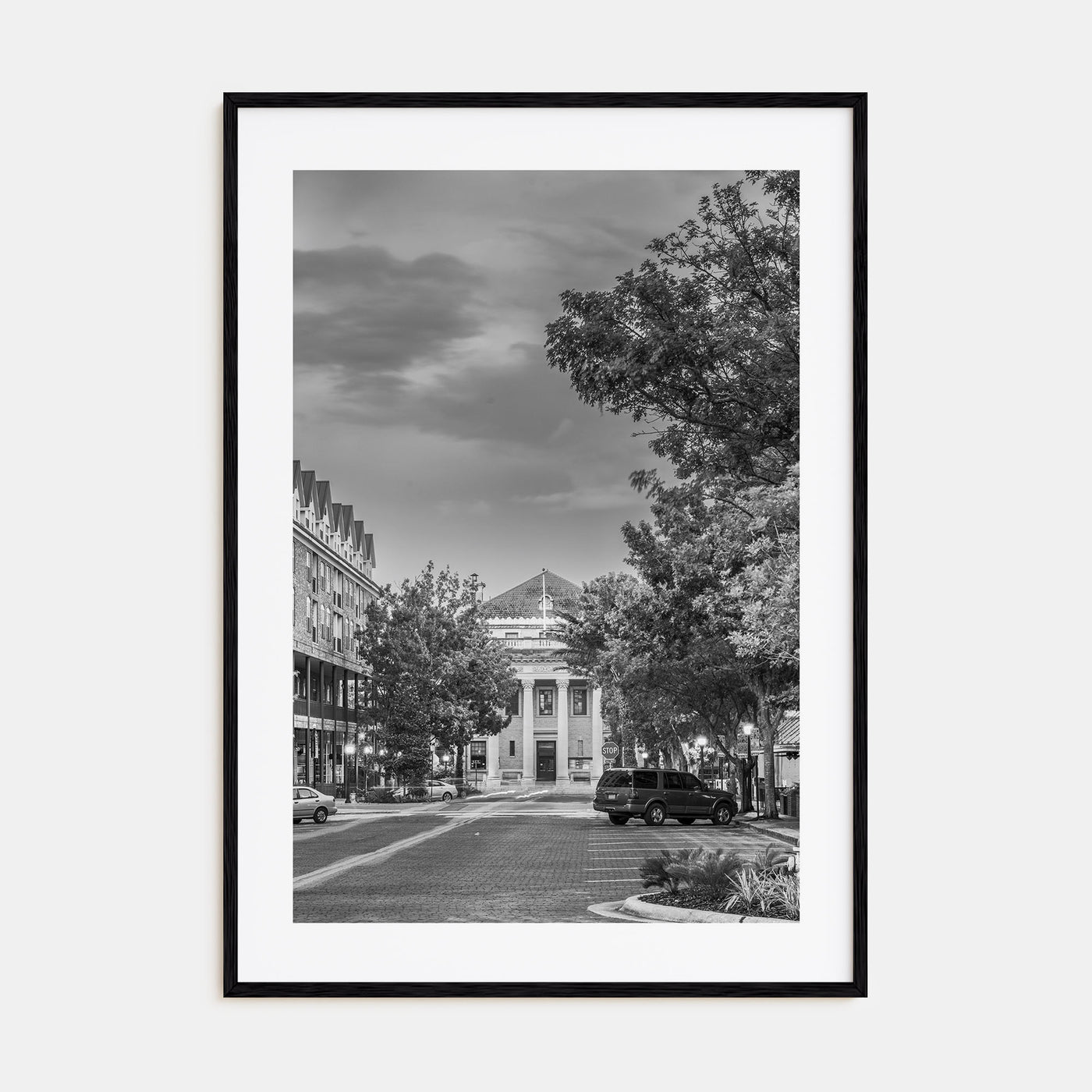 Gainesville Photo B&W Poster