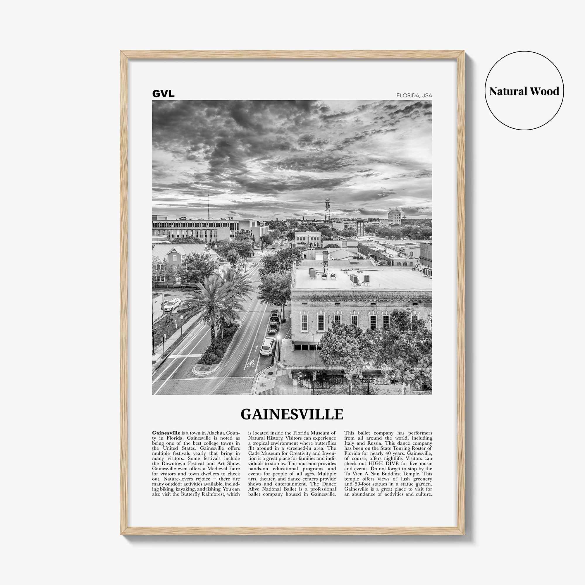 Gainesville Print Black and White, Gainesville Wall Art, Gainesville Poster, Gainesville Photo, Gainesville Wall Décor, Florida, USA