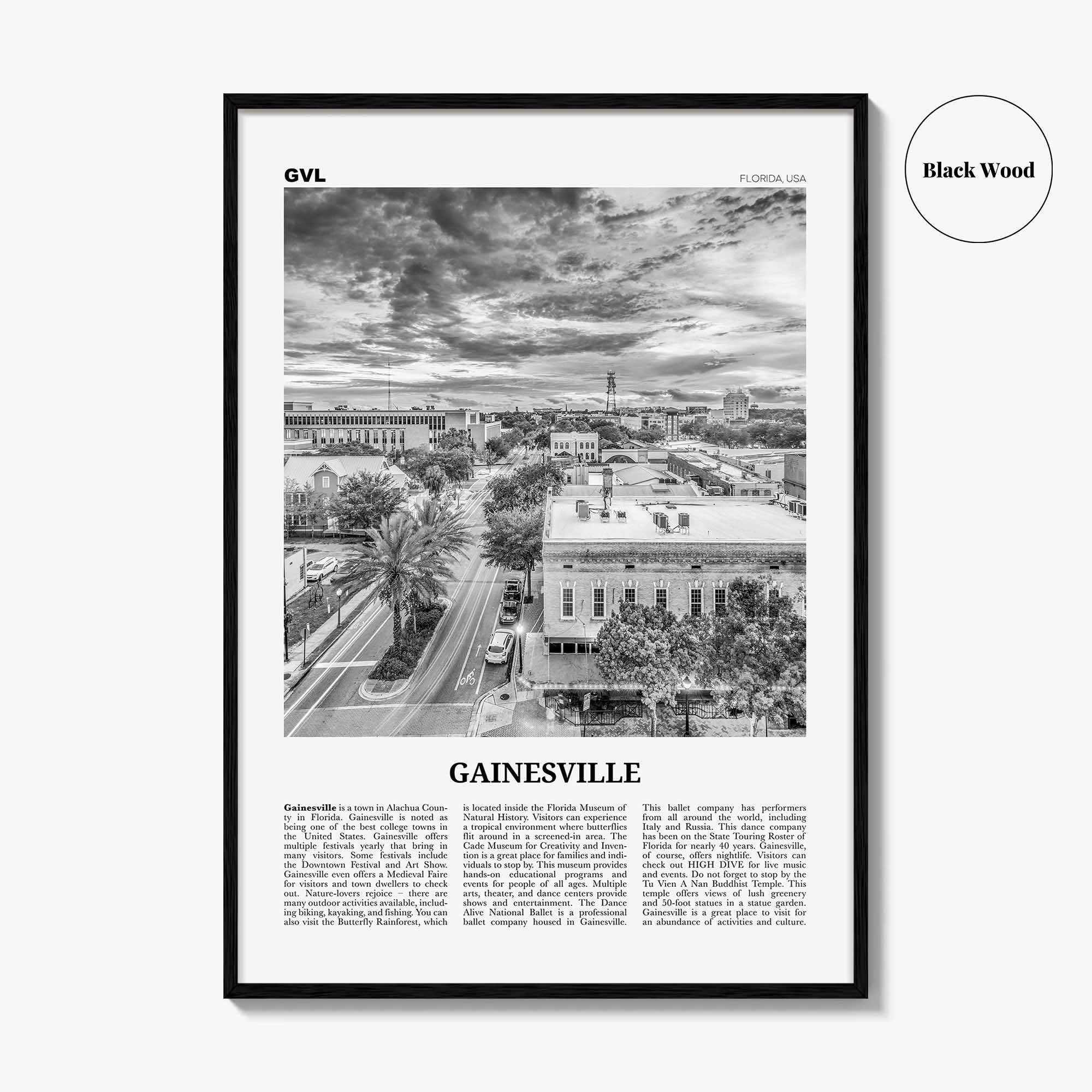 Gainesville Print Black and White, Gainesville Wall Art, Gainesville Poster, Gainesville Photo, Gainesville Wall Décor, Florida, USA