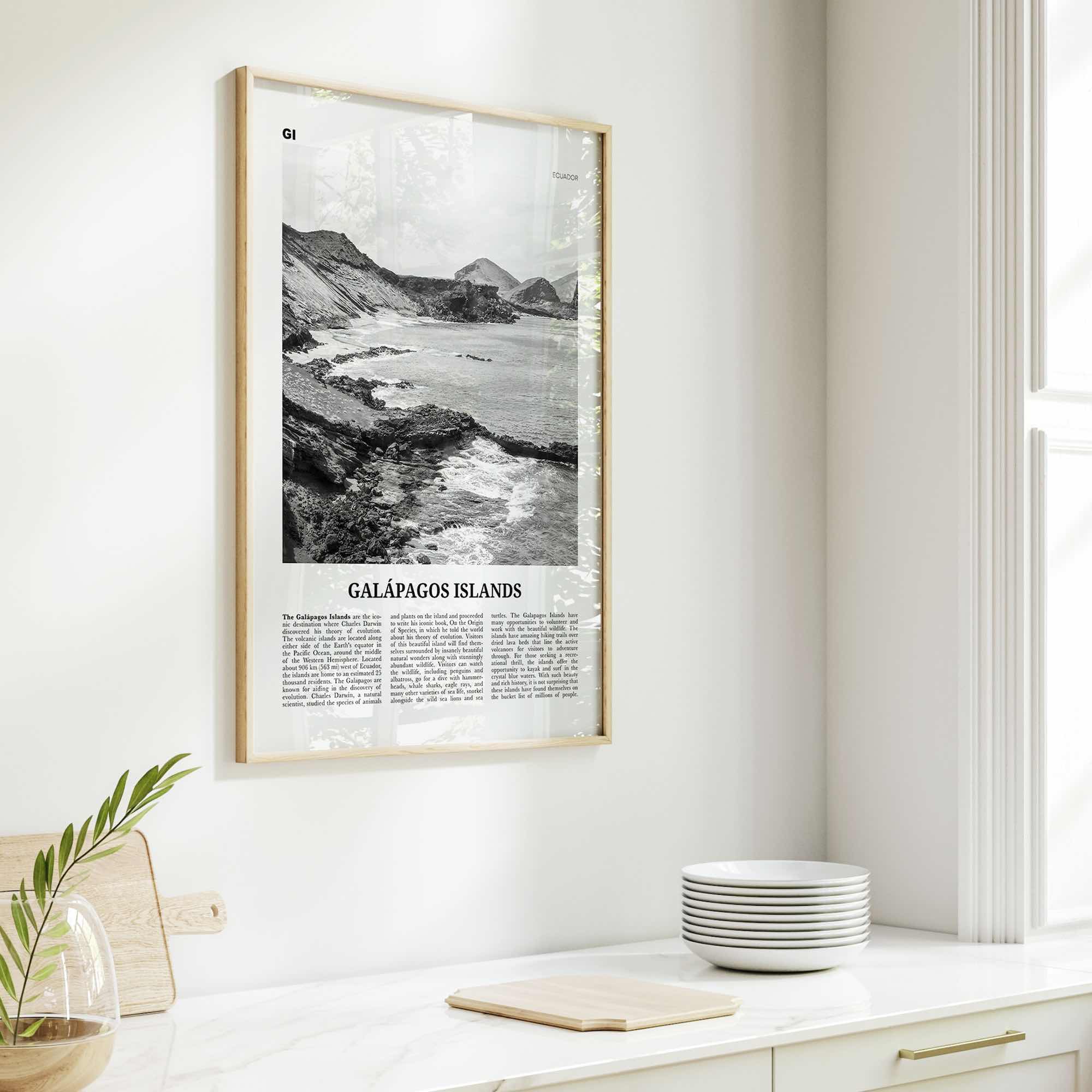 Galapagos Islands Print Black and White, Galápagos Islands Wall Art, Galápagos Islands Poster, Galápagos Islands Photo, Galápagos Wall Décor