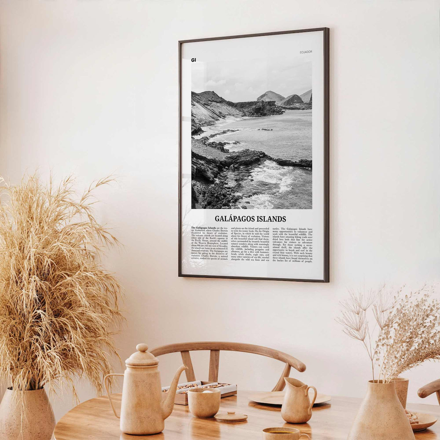 Galapagos Islands Print Black and White, Galápagos Islands Wall Art, Galápagos Islands Poster, Galápagos Islands Photo, Galápagos Wall Décor