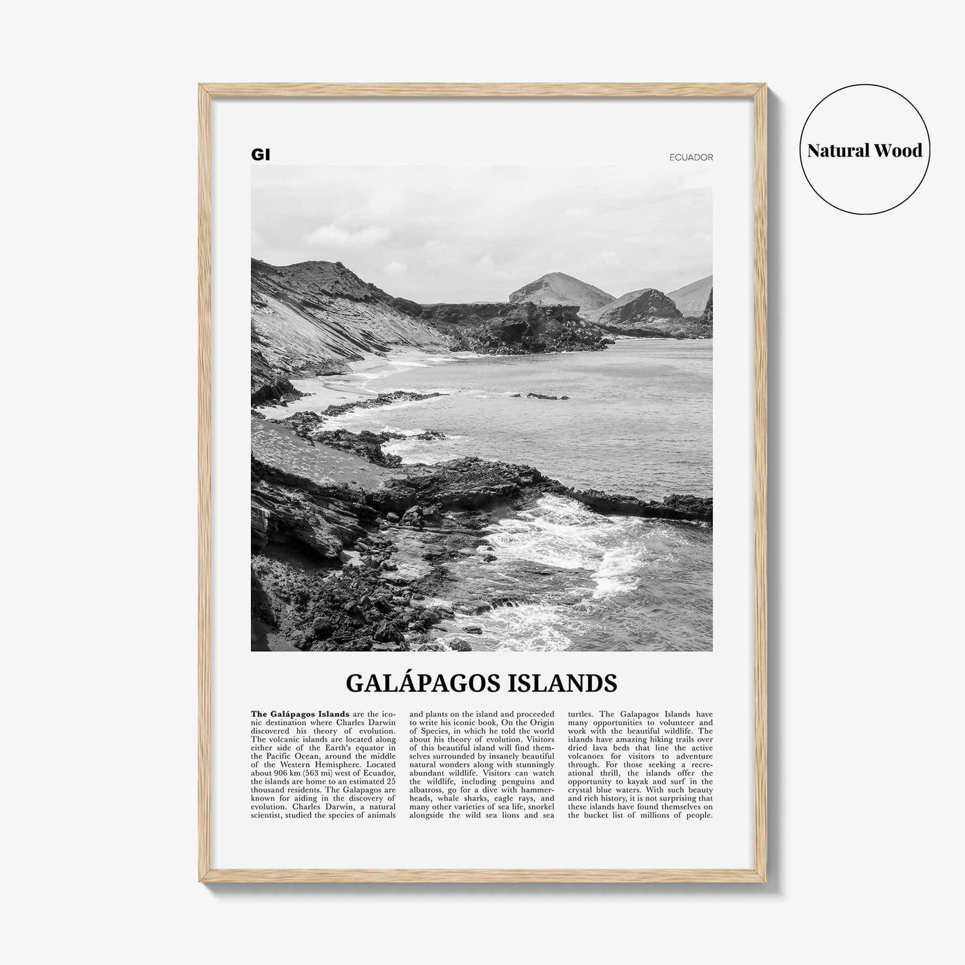 Galapagos Islands Print Black and White, Galápagos Islands Wall Art, Galápagos Islands Poster, Galápagos Islands Photo, Galápagos Wall Décor